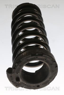 Mola de suspensão Triscan A/S ref. 8750 8205