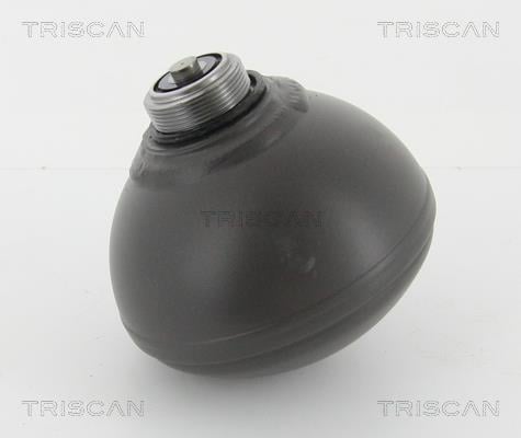 Sphère, accumulateur de suspension (Sphère de suspension) Triscan A/S ref. 8760 38229