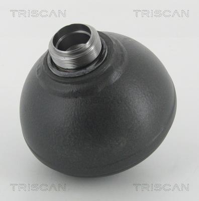 Sphère, accumulateur de suspension (Sphère de suspension) Triscan A/S ref. 8760 38304