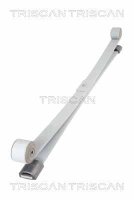Lame de ressort Triscan A/S 8765 16047