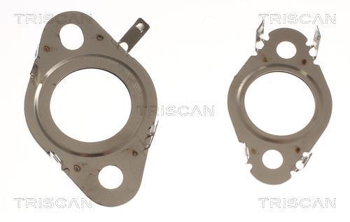 Durite de reniflard d'huile (Tuyau de vapeur d'huile moteur) Triscan A/S 8811 29000