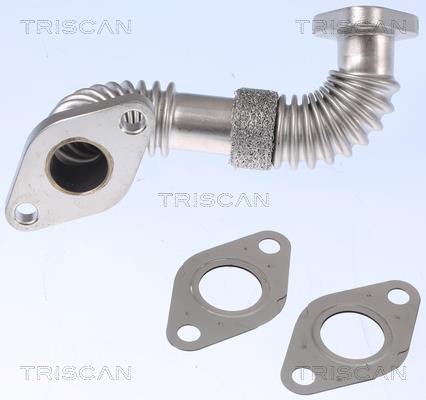 Durite de reniflard d'huile (Tuyau de vapeur d'huile moteur) Triscan A/S 8811 29101