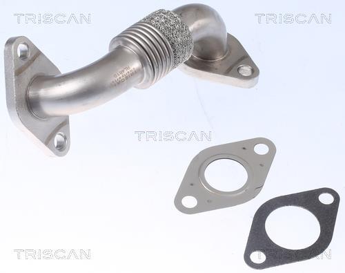 Durite de reniflard d'huile (Tuyau de vapeur d'huile moteur) Triscan A/S 8811 29102