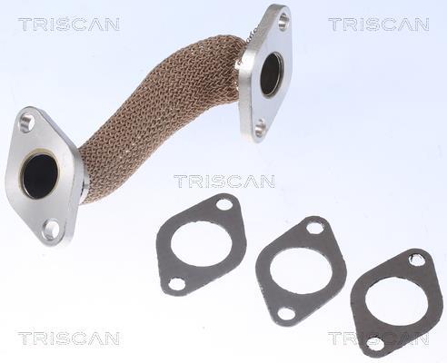 Durite de reniflard d'huile (Tuyau de vapeur d'huile moteur) Triscan A/S 8811 29105