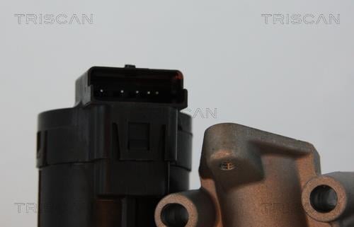 Vanne EGR Triscan A/S ref. 8813 10001