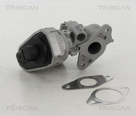 Vanne EGR Triscan A/S 8813 10002