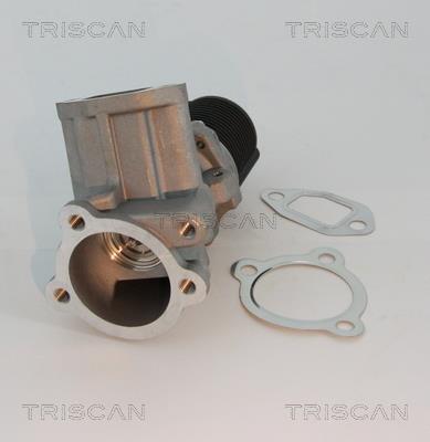 Vanne EGR Triscan A/S 8813 10003