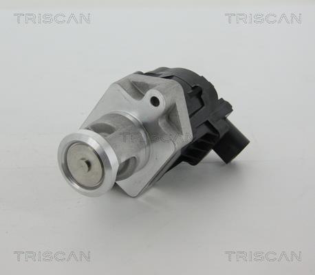 Vanne EGR Triscan A/S ref. 8813 10006