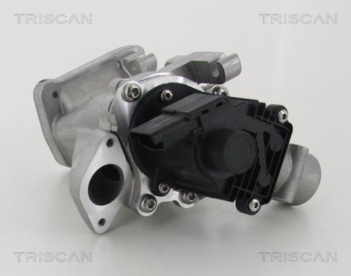 Vanne EGR Triscan A/S 8813 10007