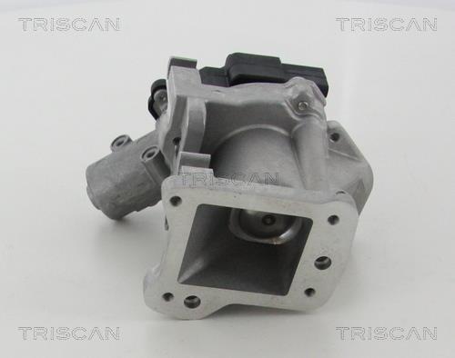 Vanne EGR Triscan A/S 8813 10007