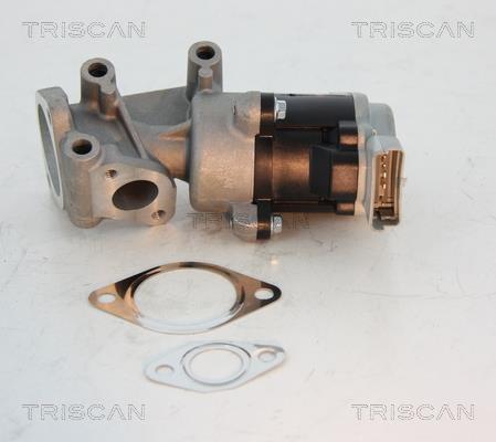 Vanne EGR Triscan A/S ref. 8813 10008