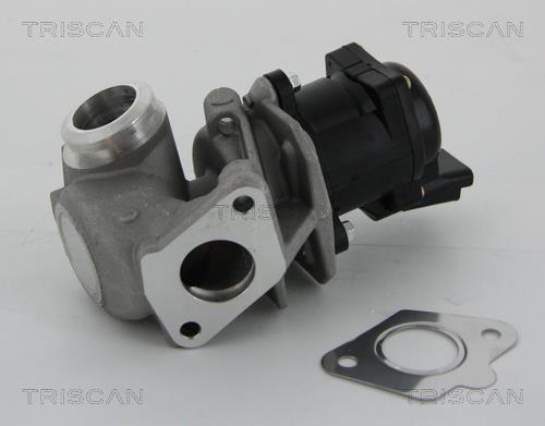 Válvula EGR Triscan A/S ref. 8813 10010