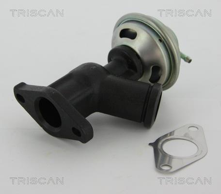 Válvula EGR Triscan A/S ref. 8813 10011