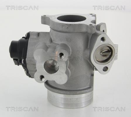 Vanne EGR Triscan A/S 8813 10012