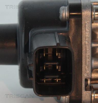 Vanne EGR Triscan A/S ref. 8813 10013