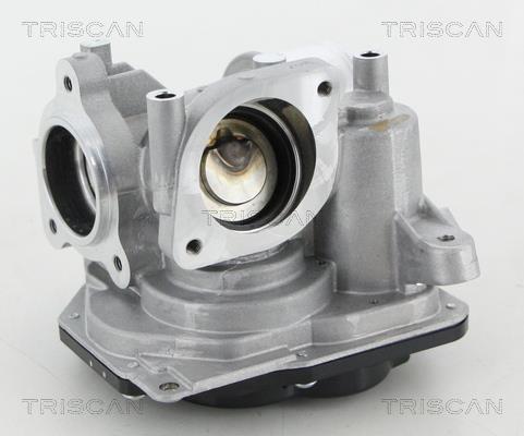 Vanne EGR Triscan A/S ref. 8813 10031