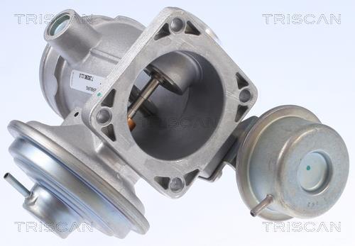 Vanne EGR Triscan A/S 8813 10034