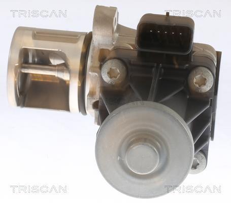 Válvula EGR Triscan A/S ref. 8813 10053
