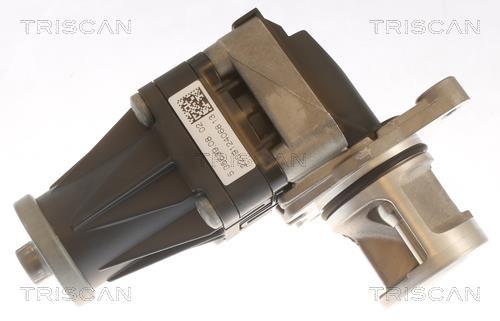 Válvula EGR Triscan A/S ref. 8813 10053