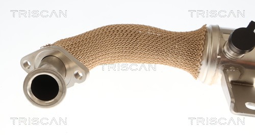 Radiateur, réaspiration des gaz d'échappement Triscan A/S 8813 10059