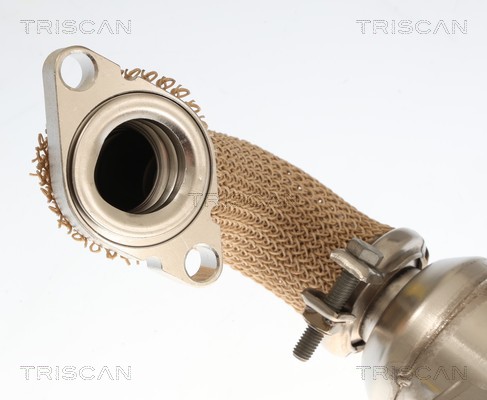 Radiateur, réaspiration des gaz d'échappement Triscan A/S 8813 10059