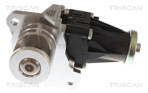 Vanne EGR Triscan A/S 8813 10060