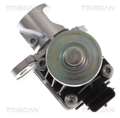 Vanne EGR Triscan A/S 8813 10060