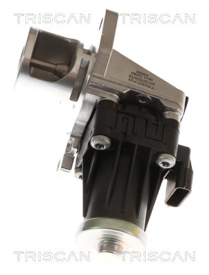 Vanne EGR Triscan A/S 8813 10060