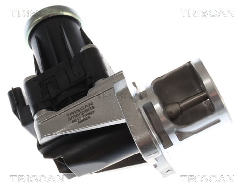 Vanne EGR Triscan A/S 8813 10060