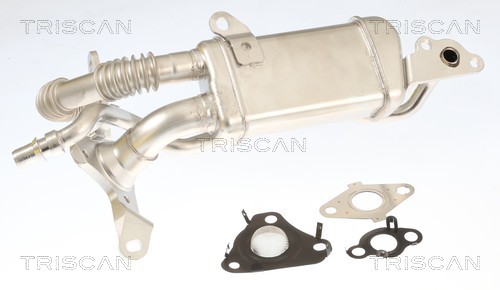 Radiateur, réaspiration des gaz d'échappement Triscan A/S 8813 10061