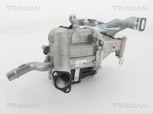 Vanne EGR Triscan A/S ref. 8813 10103
