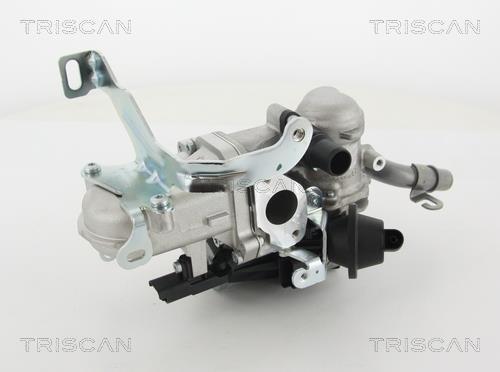 Vanne EGR Triscan A/S ref. 8813 10103