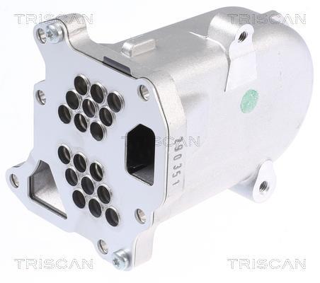Radiador válvula egr Triscan A/S ref. 8813 10104