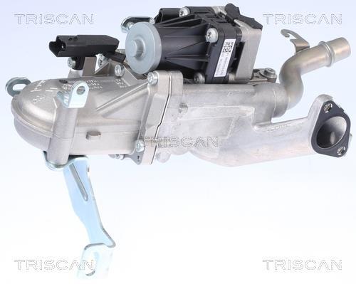 Vanne EGR Triscan A/S 8813 10106