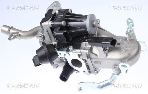 Vanne EGR Triscan A/S 8813 10106
