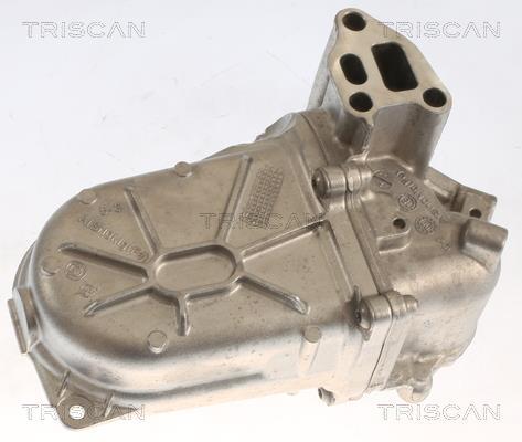 Radiateur, réaspiration des gaz d'échappement Triscan A/S 8813 10107