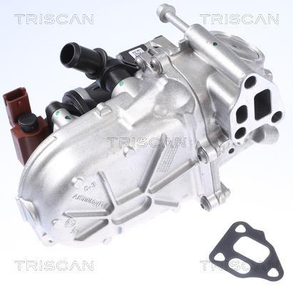 Vanne EGR Triscan A/S ref. 8813 10108