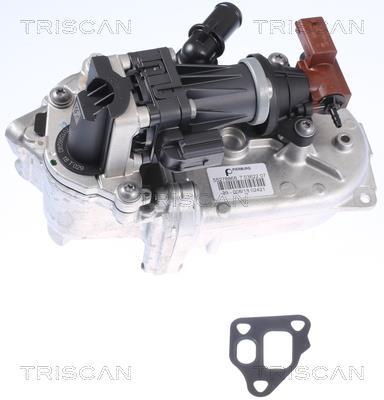 Vanne EGR Triscan A/S ref. 8813 10108