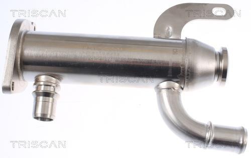 Radiador válvula egr Triscan A/S ref. 8813 10109