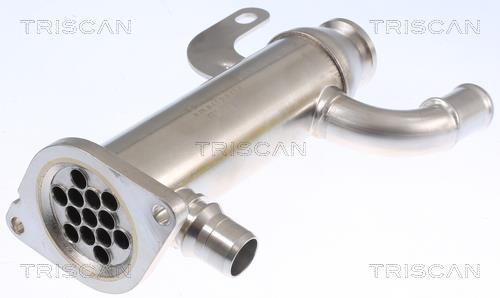 Radiador válvula egr Triscan A/S ref. 8813 10109