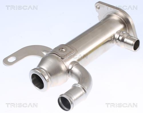 Radiador válvula egr Triscan A/S ref. 8813 10109