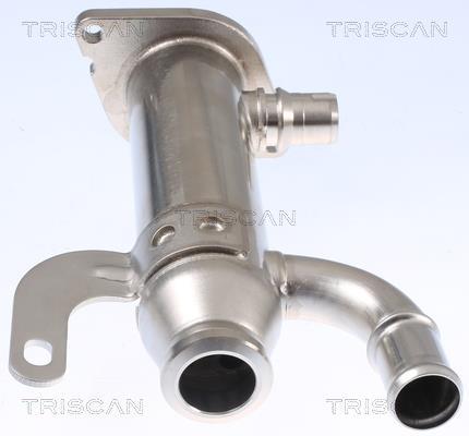 Radiador válvula egr Triscan A/S ref. 8813 10109