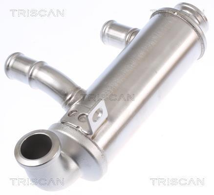 Radiador válvula egr Triscan A/S ref. 8813 10110
