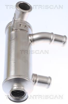 Radiador válvula egr Triscan A/S ref. 8813 10110