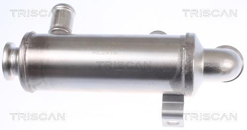 Radiador válvula egr Triscan A/S ref. 8813 10111
