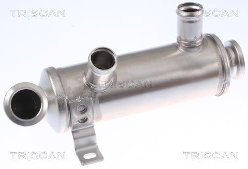 Radiador válvula egr Triscan A/S ref. 8813 10111