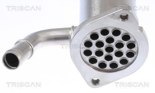 Radiador válvula egr Triscan A/S ref. 8813 10112