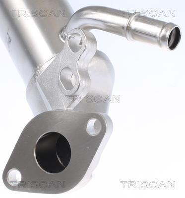 Radiador válvula egr Triscan A/S ref. 8813 10112
