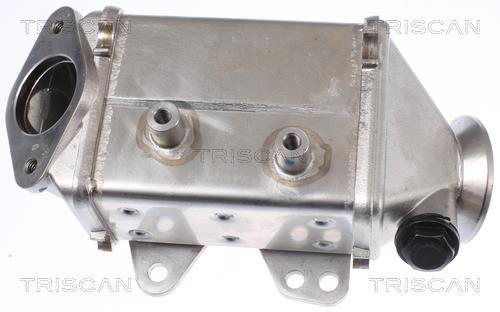 Radiador válvula egr Triscan A/S ref. 8813 10113