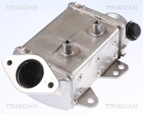 Radiador válvula egr Triscan A/S ref. 8813 10113